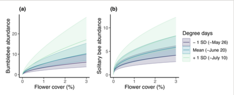 Understanding bee dynamics: Exploring floral resources and population trends in agricultural landscapes