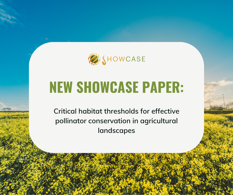 More natural habitat needed to protect pollinators, new SHOWCASE study finds