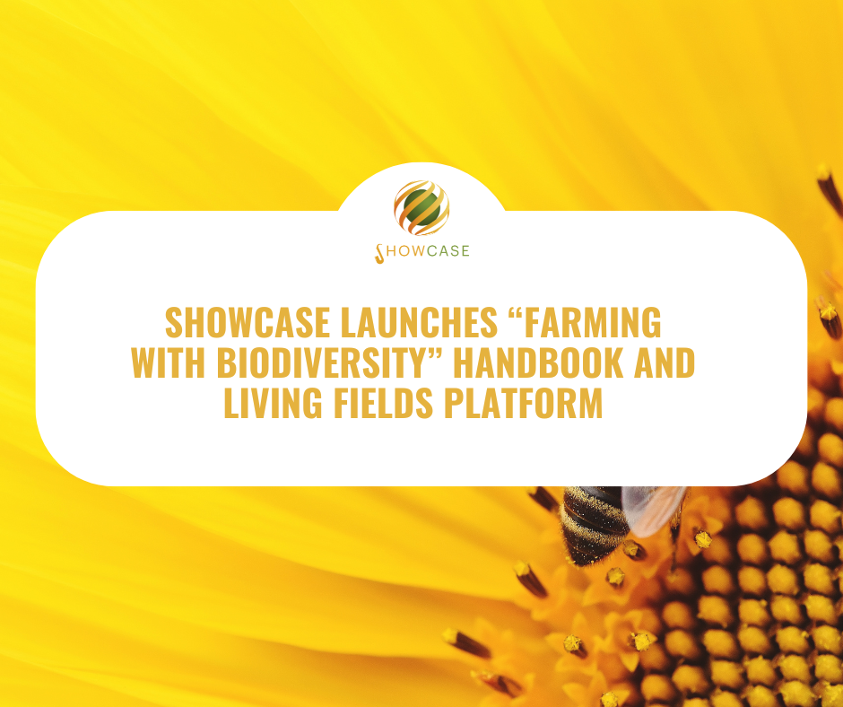 SHOWCASE launches “Farming with Biodiversity” Handbook and Living Fields Platform
